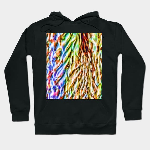 Abstract vibrant bark texture Hoodie by hereswendy